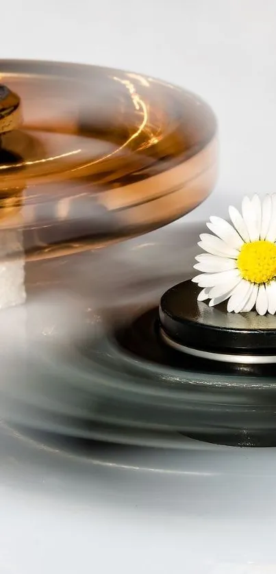 Elegant spinning daisies on artistic background.