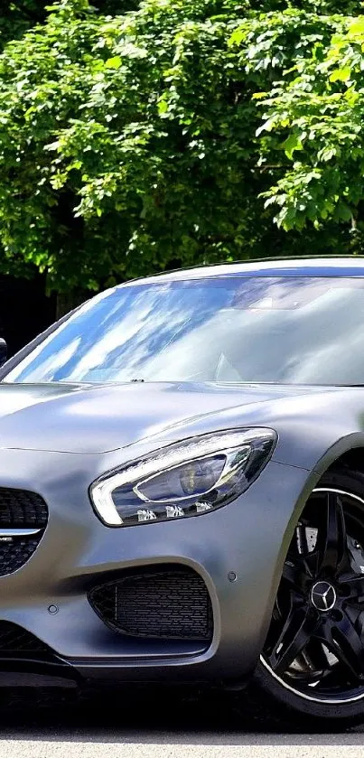 Luxury sports car parked in nature with lush greenery background.