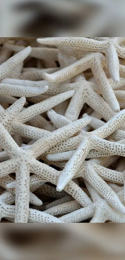 Mobile wallpaper with beige starfish pattern, perfect for a calming beach theme.