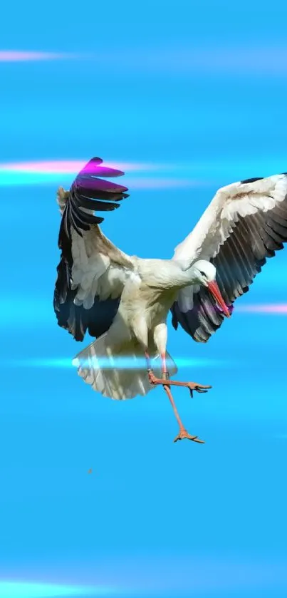 Stork flying with wings spread against a bright blue background.