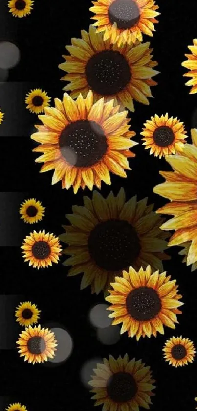 Sunflower mobile wallpaper with yellow blooms on black background.