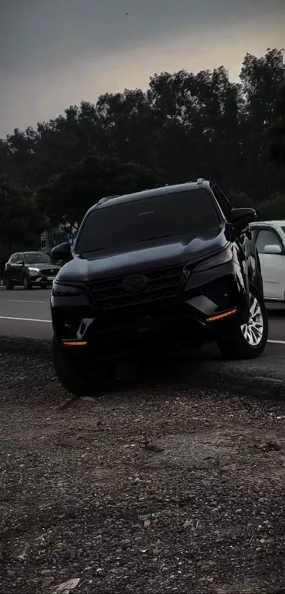 Dark SUV parked on a rustic roadside under a cloudy sky.