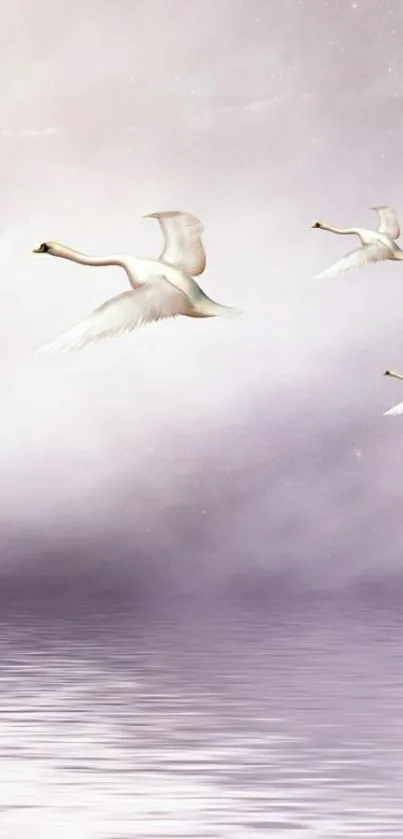 Swans flying over a misty purple lake.