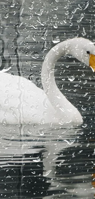 Elegant white swan glides through rain-dappled water.