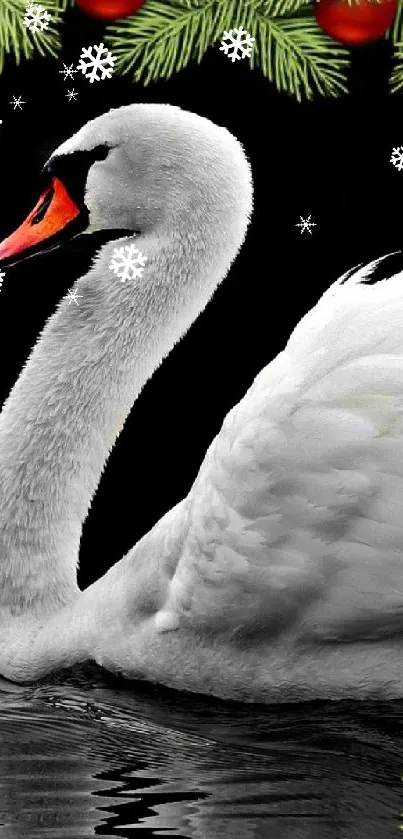 Elegant white swan gliding across dark, tranquil water with holiday accents.