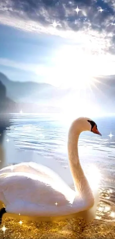 Serene swan glides on a sunrise-lit lake.