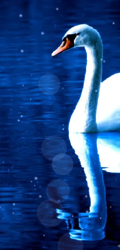 Graceful swan gliding on blue reflective water.