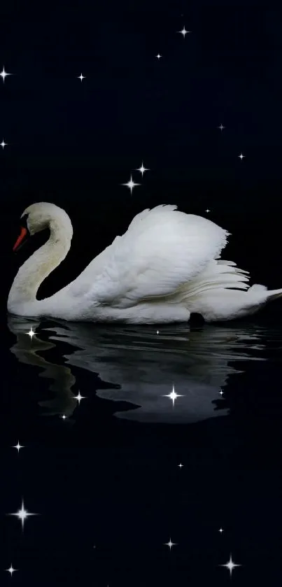 Elegant white swan on dark water creating a serene and beautiful scene.