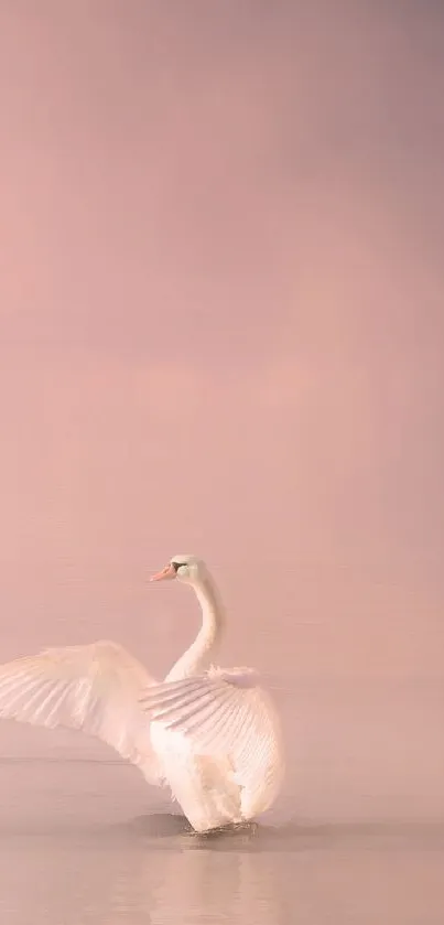 Graceful swan glides on a misty pink lake, creating a serene and elegant scene.