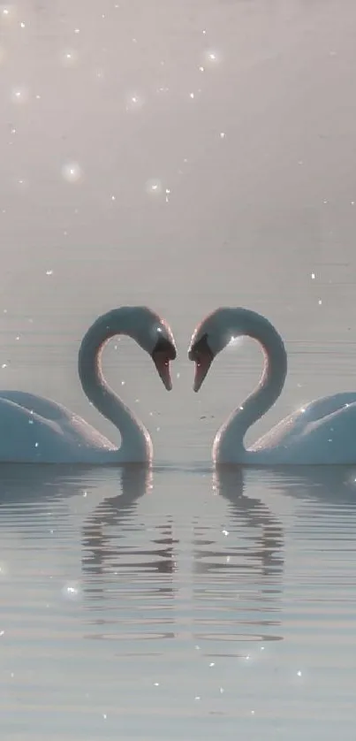 Two elegant swans mirrored on a tranquil lake at dusk.