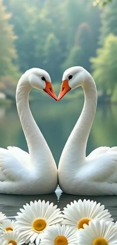 Two elegant swans forming a heart in a serene daisy-filled lake setting.