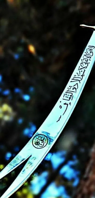 Intricate sword with engravings on blurred background.