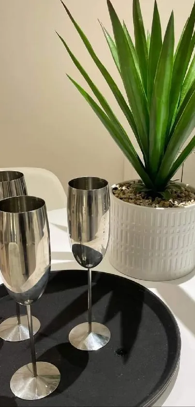 Green plant and flutes on a white table.