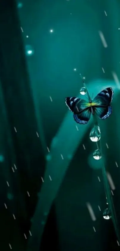 Teal background with butterfly and dewdrops.