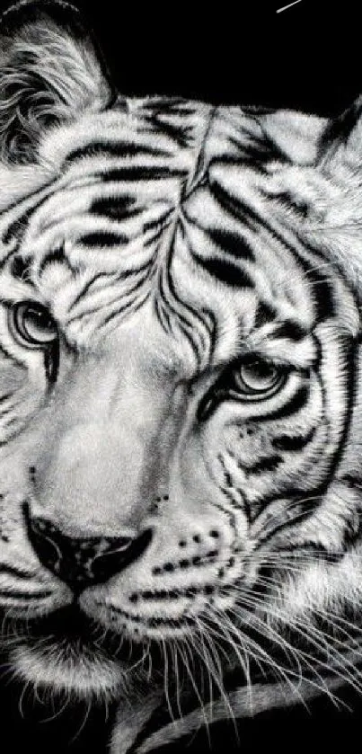 Black and white artistic tiger wallpaper on a dark background.