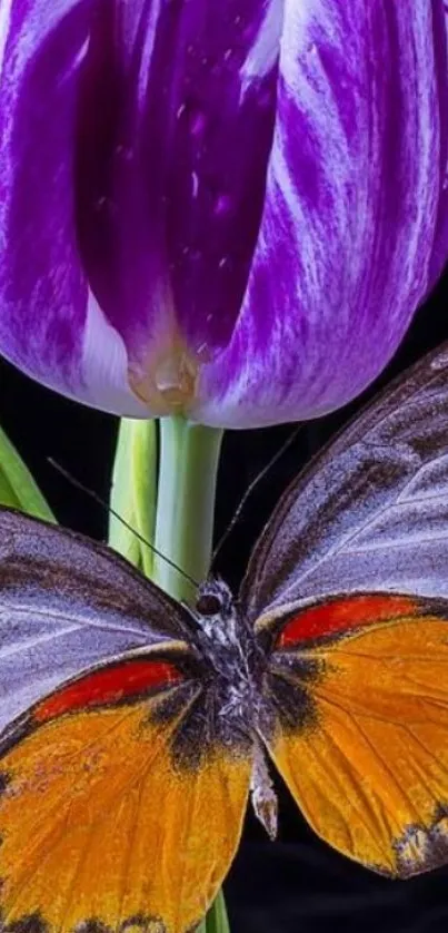 Vibrant wallpaper with orange butterfly and purple tulip.