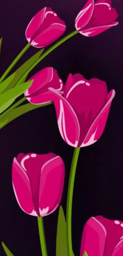 Vibrant pink tulips on a dark background mobile wallpaper.