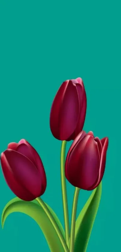 Elegant red tulips on teal background mobile wallpaper.