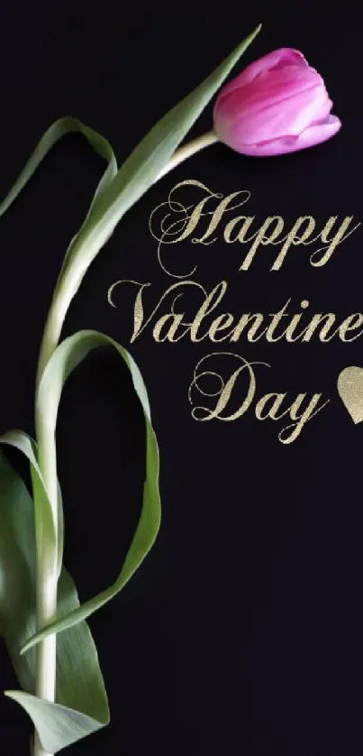 Romantic Valentine's Day wallpaper with a pink tulip on a black background.