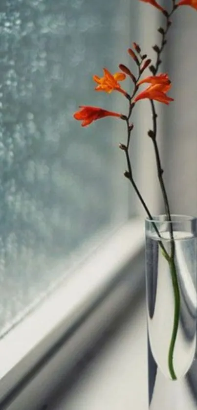 Elegant glass vase with vibrant orange flowers by a textured window.