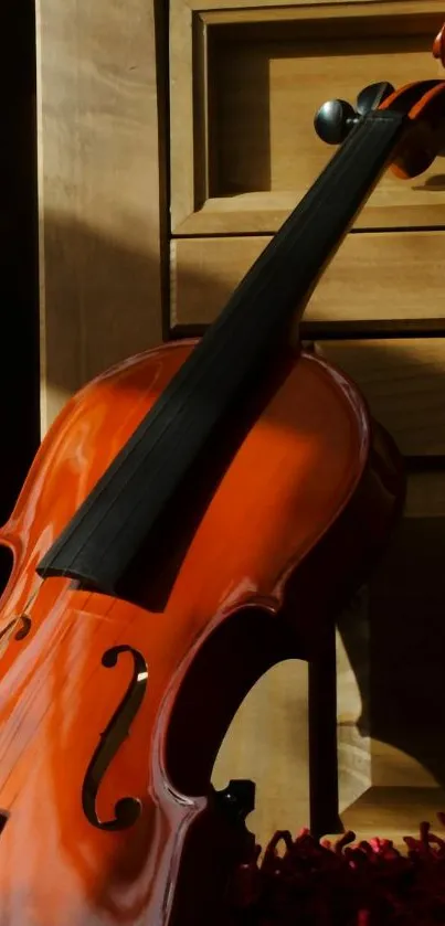 Violin resting against wooden backdrop with warm tones in natural light.