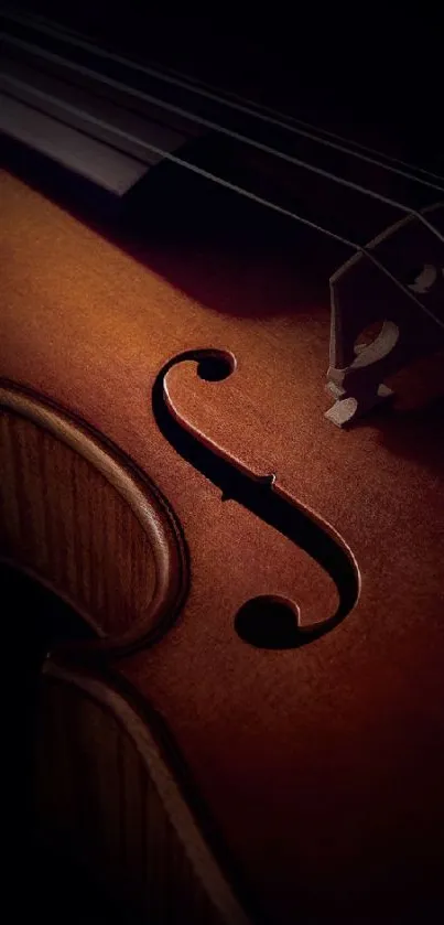 Close-up view of an elegant violin with rich brown tones.