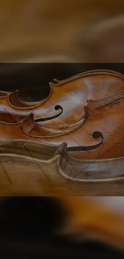 Close-up of elegant violin showcasing curves and strings.