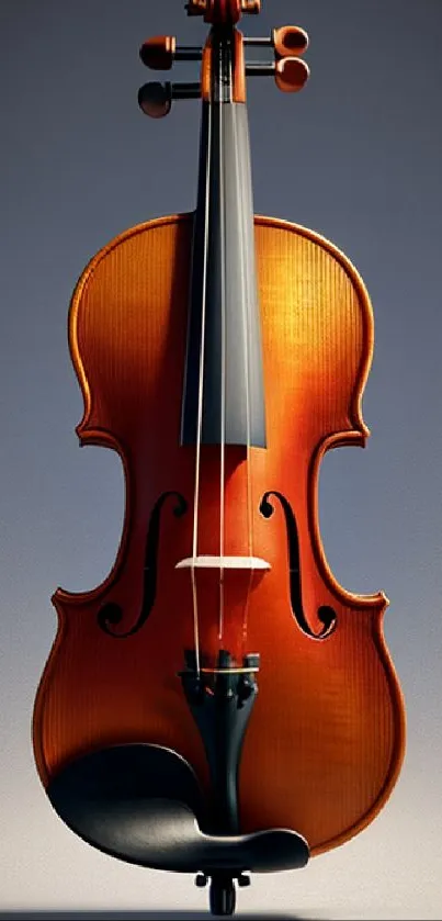 Polished violin on a gradient background.