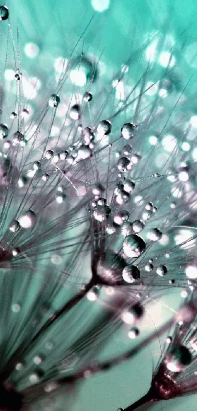 Water droplets on a plant with turquoise and purple hues.