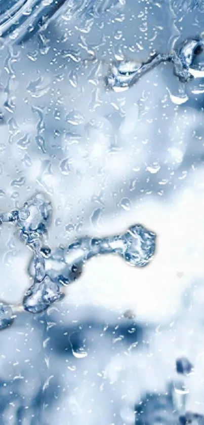 Close-up of water droplets with a tranquil blue background.