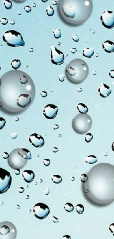 Elegant wallpaper with water droplets on a light blue background.