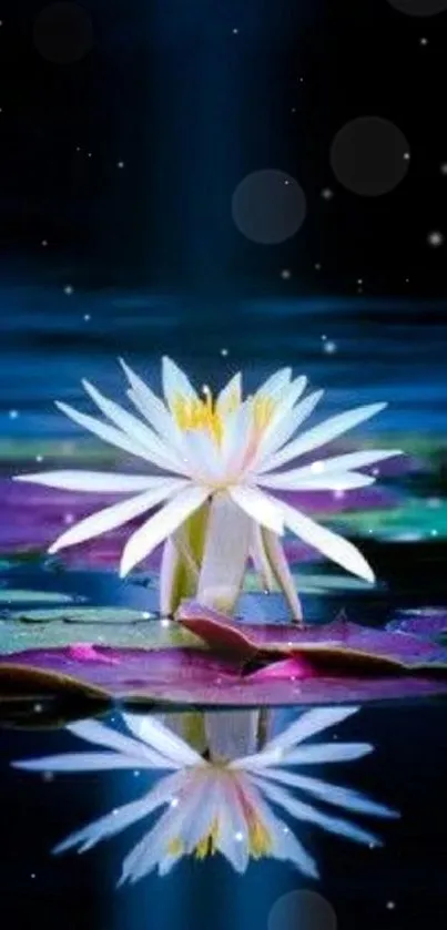 Elegant water lily reflected in a tranquil pond at night.