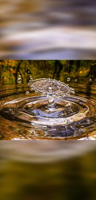 Elegant water ripple mobile wallpaper with natural brown hues.