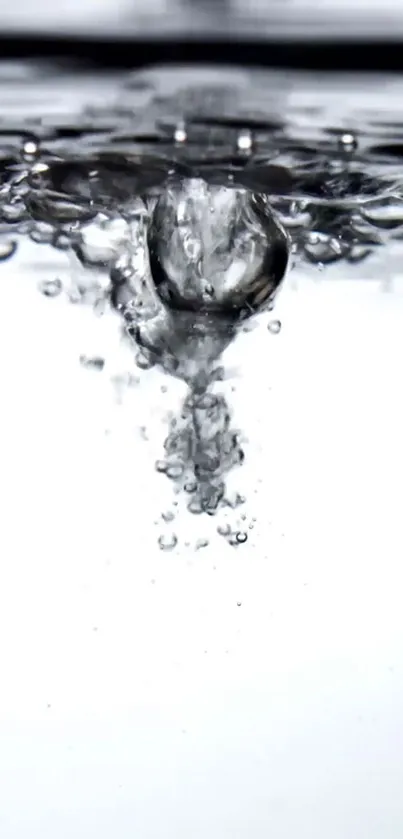 Dynamic water splash on white background, minimal design.