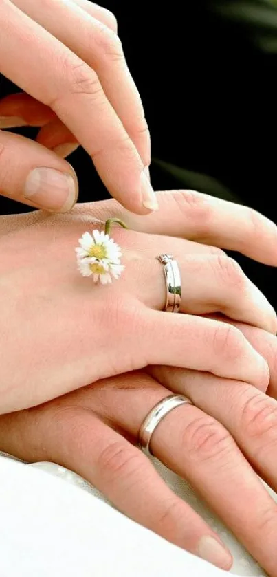 Hands with wedding rings and a small flower.