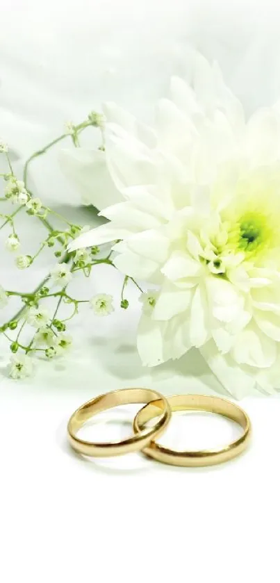 Gold wedding rings with white flowers background.