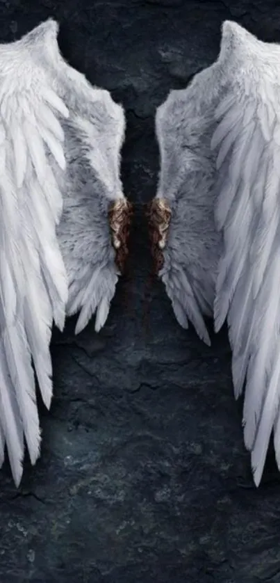 White angel wings on a dark textured background.