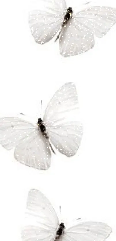 Elegant white butterflies on a minimalist background, perfect for mobile wallpaper.