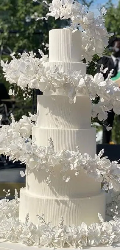 Elegant tiered white cake with floral accents on display.