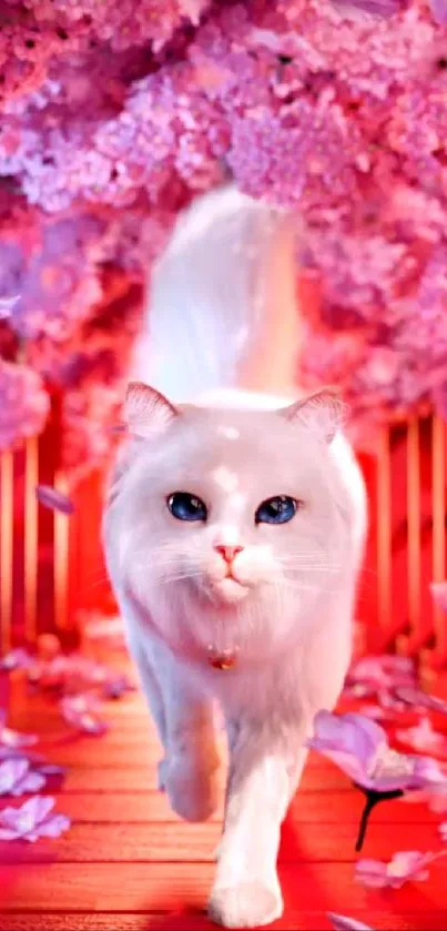 White cat walking through vibrant pink cherry blossoms.