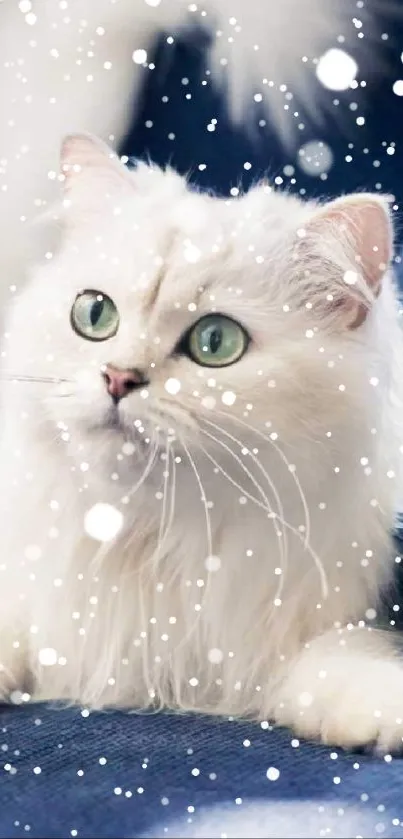 Majestic white cat with green eyes on a blue sofa, elegant and serene.