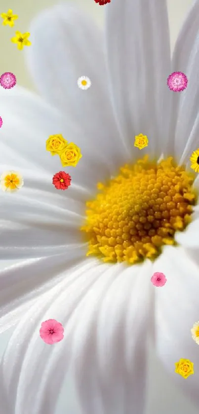 Close-up of elegant white daisy with vibrant yellow center.