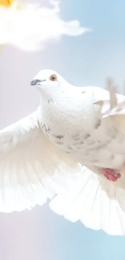 White dove soaring through a soft, blue sky.