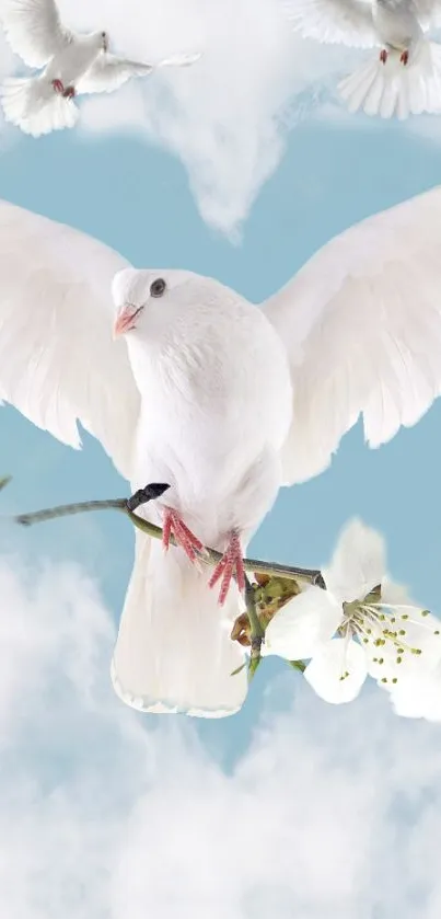 White dove flying with open wings against a blue sky.