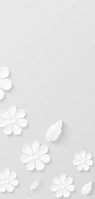 Elegant white floral pattern wallpaper with minimalist design.