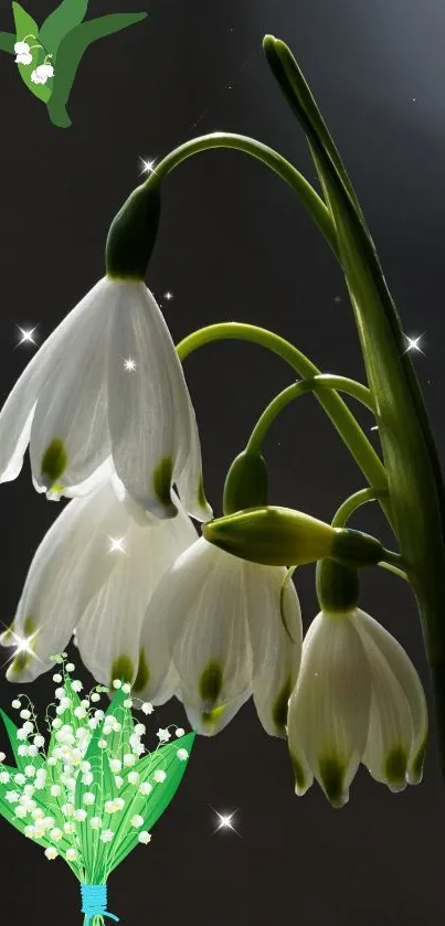 White bell flowers with elegant, dark background.
