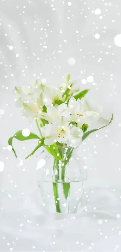 Elegant white flowers in a clear glass vase on a soft background.