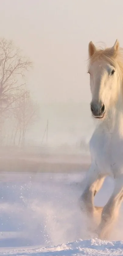 White horse running through a snowy landscape with a serene backdrop.