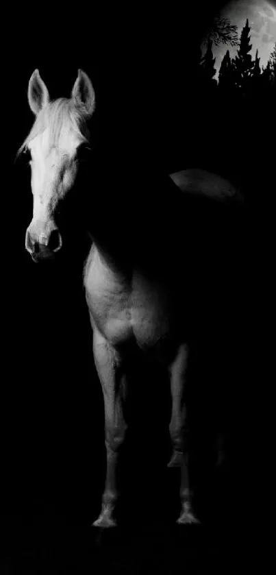 Majestic white horse in moonlit night with dark background.