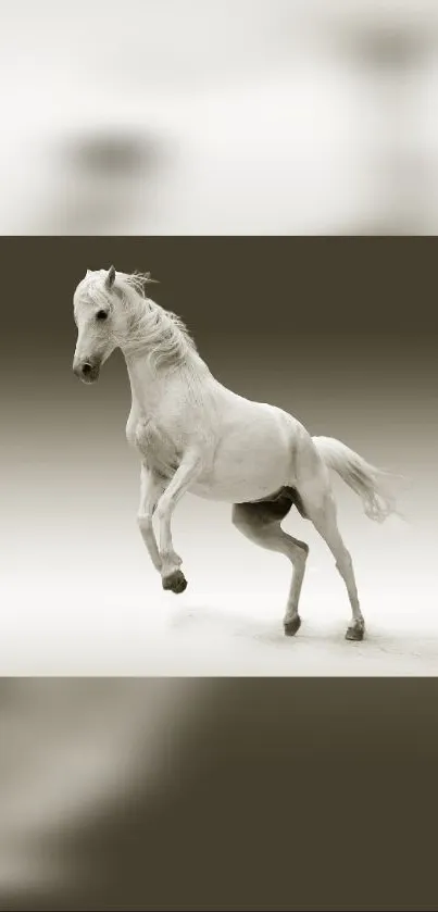 Elegant white horse running on a serene background, perfect for mobile wallpaper.